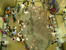 National Museum of Nature and Science,Tokyo (in 2004)